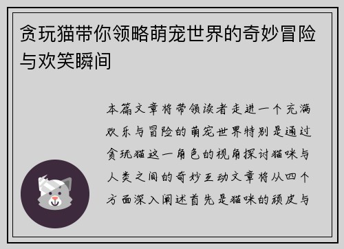 贪玩猫带你领略萌宠世界的奇妙冒险与欢笑瞬间